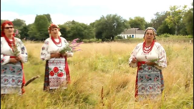 На городі верба рясна.