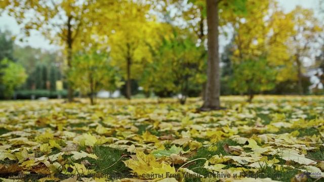 Музыка будущего, которую создал искусственный интеллект! - 20 Minute Meditation 7 -- HoliznaCC0 -- S