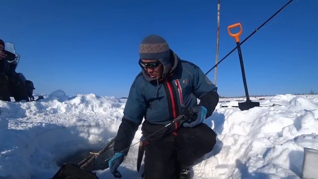 С ТРУДОМ ДОСТАЛ СО ДНА 200 ТЫС И СРАЗУ ГЛУПО УТОПИЛ.
