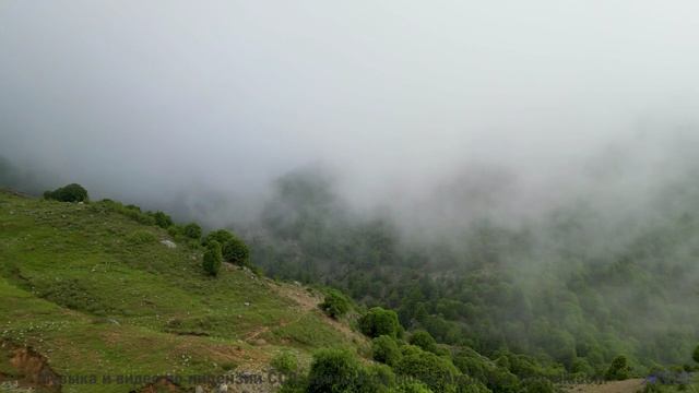 Ты НЕ ЗНАЛ, что так бывает! - Motherland -- Ketsa -- Vitality