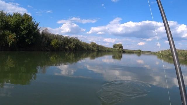 ЛЕНИВАЯ РЫБАЛКА НАЛОВИЛИ РЫБЫ БЕЗ ОСОБОГО ТРУДА