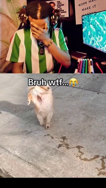 что здесь происходит ???🤣🤣🤣🤣