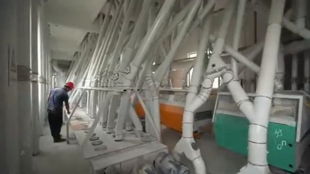 1000002295.mp4