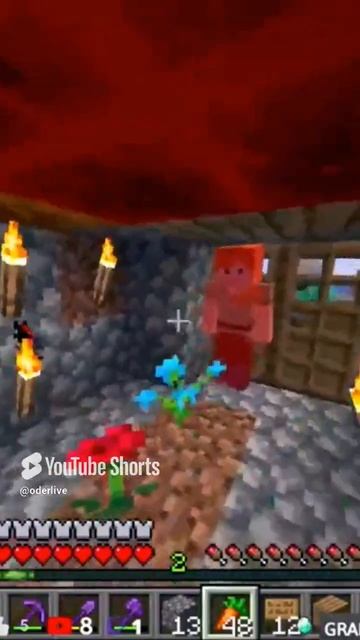 Minecraft Лучшее #961
