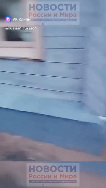1000044979.mp4