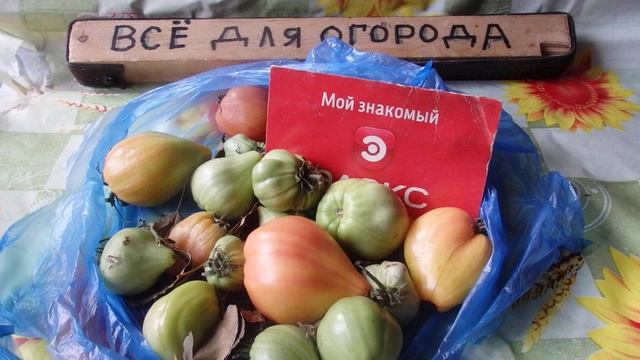Как быстро сделать чтобы Зелёные помидоры краснели ра
