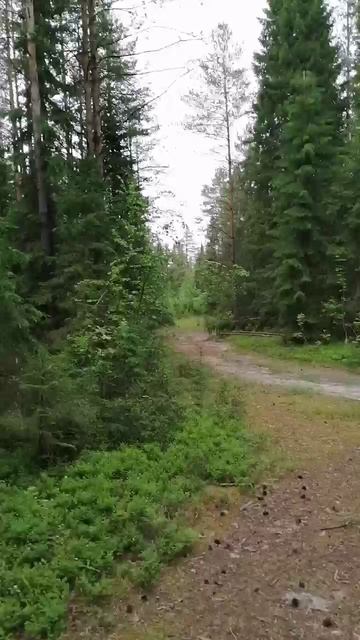 VID_20250613_161453_707.mp4