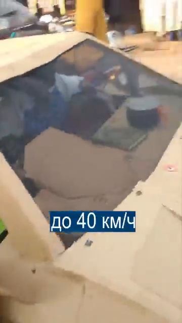 Склеил Ламбу из Картона и Палок