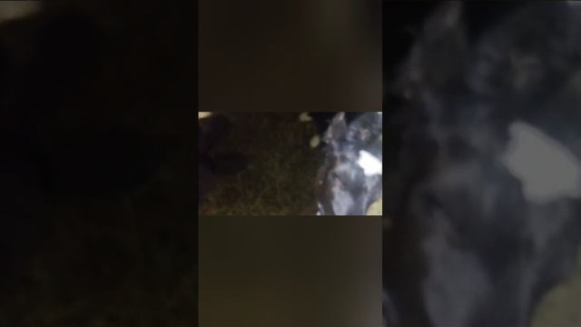 3 мая😂