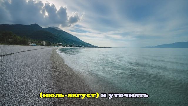 Абхазия в 2025: море без мазута, пляжи без пятен, туристы без тревог