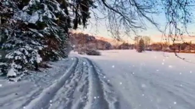 Кино дальше действовать будем мы