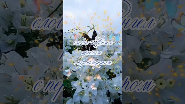 С ДОБРЫМ ЦВЕТОЧНЫМ УТРОМ! 🌺🌼🌸