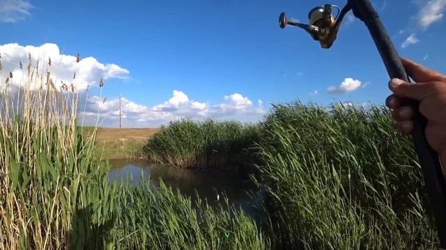 ЭТА ЛУЖА НЕ ПЕРЕСТАЕТ УДИВЛЯТЬ! Здесь КЛЮЕТ ВСЕГДА! Рыбалка на поплавок.