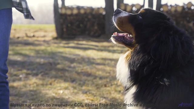 Видео, которое лечит депрессию - научный факт! - Thereafter -- A. A. Aalto -- The West