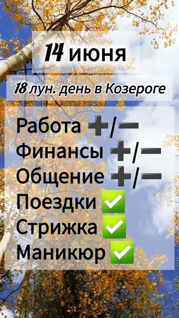 Лунный день 14 июня 2025 года