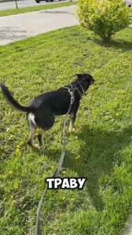 Хорошие новости