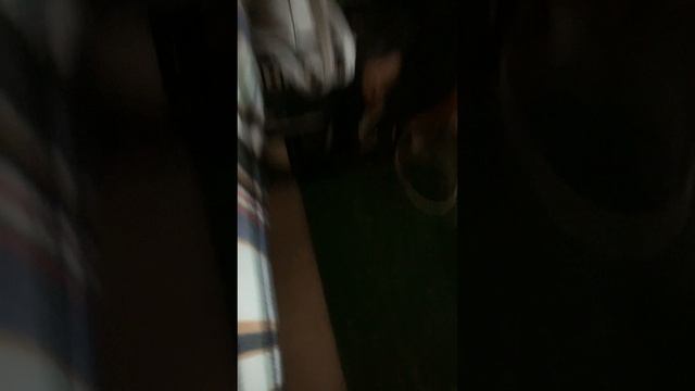 Меня обманывали?! Фантастически попал неизвестно куда