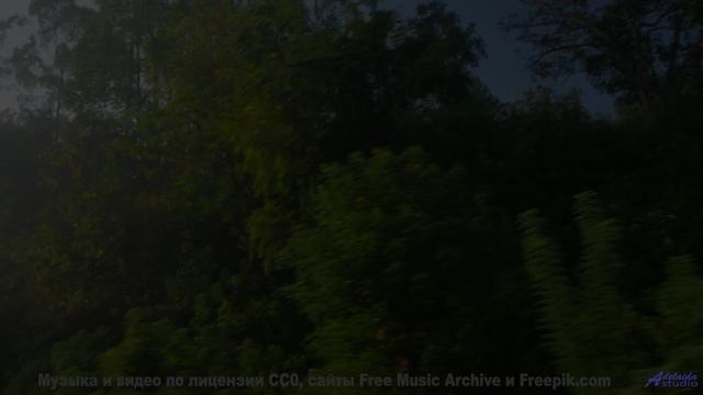 Красота Земли раскрывается в этом клипе - Missing Link -- Kirk Osamayo -- Season Two (YELLOW)