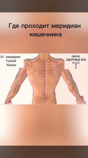 ⚪️ СТИХИЯ МЕТАЛЛ и диагностика органов с #AkuScan