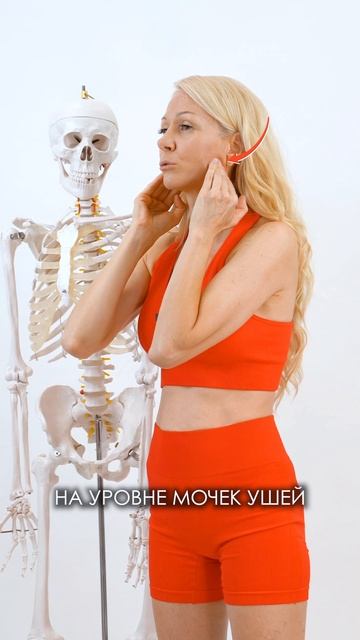 Расслабляем жевательные мышцы #shorts #лицо #каркукли