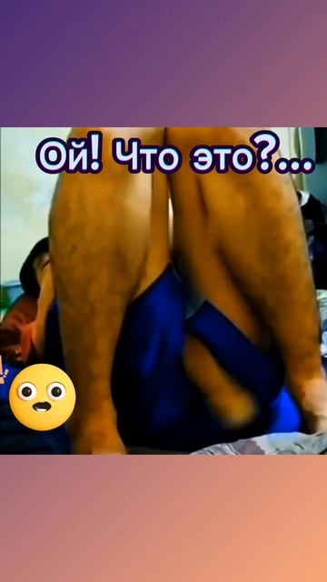 Шутка
