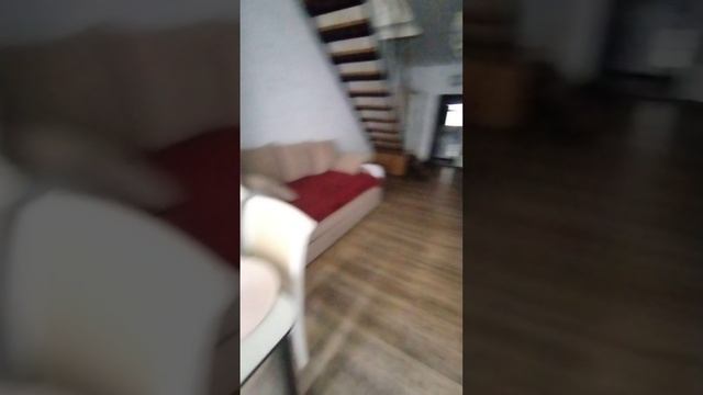 1000028294.mp4
