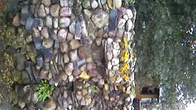 SV_A0011.mp4