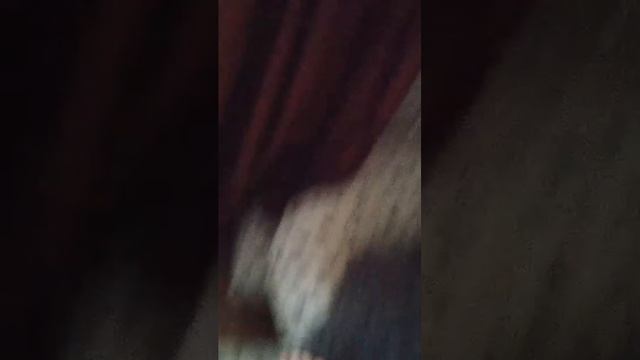 ввчсссч