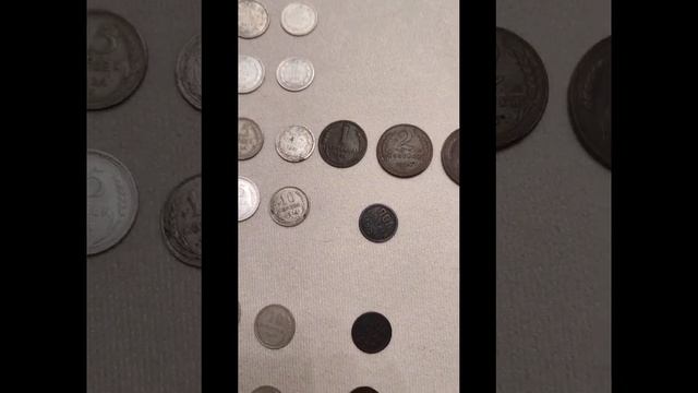 1000004063.mp4