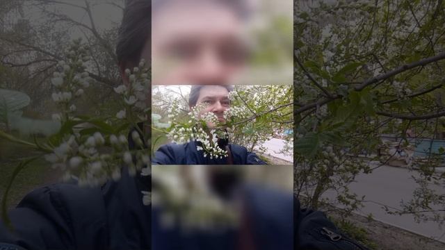 топчик Фотки музыка
