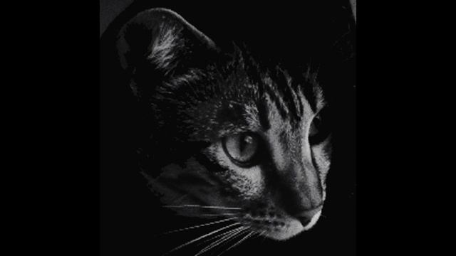 Последний Самурай - Вдох-выдох