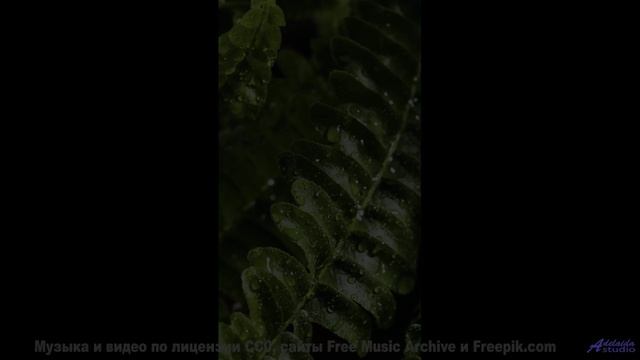 Пейзажи дышат вместе с этим мощным треком - Asking about spice -- Fourmi -- LAlunissage des fragilos