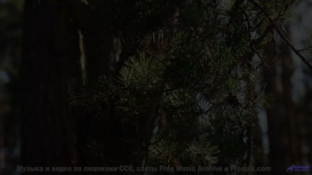 Музыка, которая звучит как ночь, полная страсти... - Mosey -- A. A. Aalto -- Bright Corners