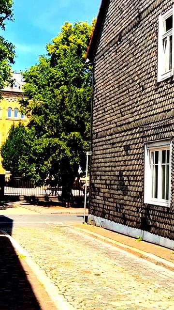 Камера зафиксировала неожиданный поворот