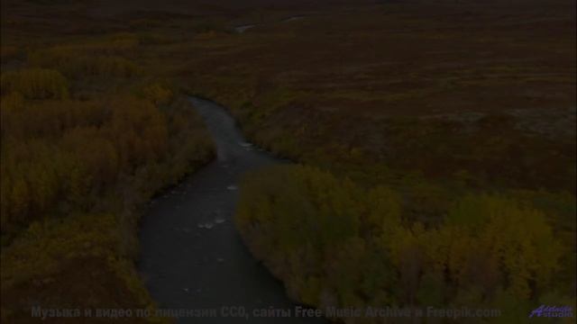 Вы готовы к такому сочетанию - Together We Stand -- Scott Holmes Music -- Cinematic Background Music