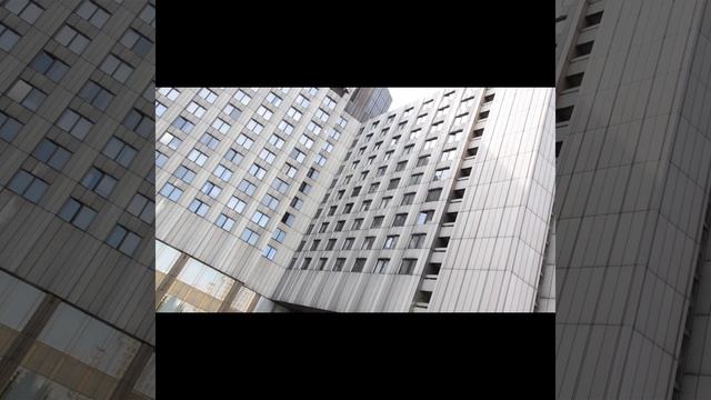 Студенты СПбГЭУ путешествуют вместе с  Cosmos Hotel Group