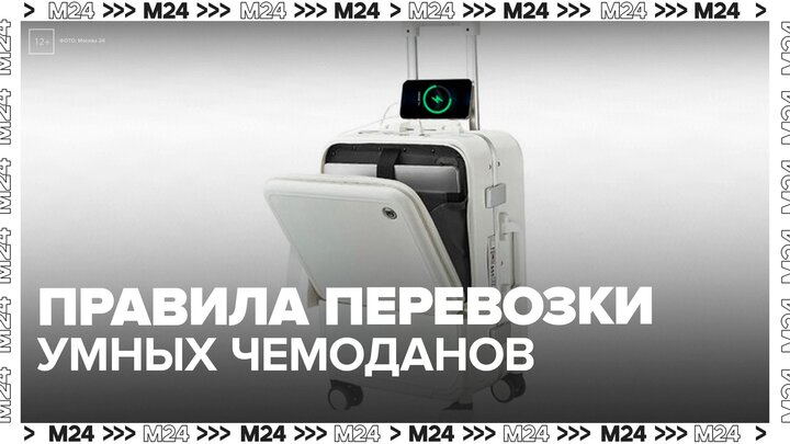Владельцам умных чемоданов напомнили о правилах перевозки аккумуляторов - Москва 24