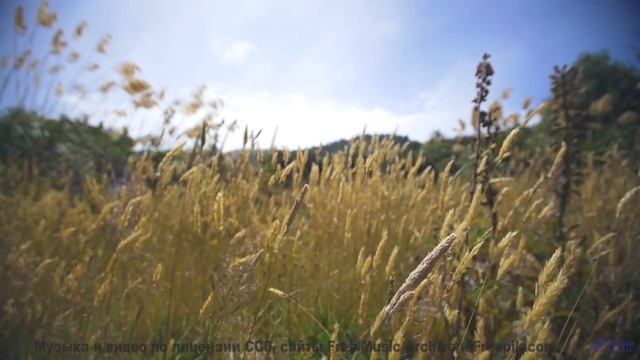 Пейзажи танцуют вместе с каждой нотой - When You See Me Now inst -- HoliznaRAPS -- When You See Me N