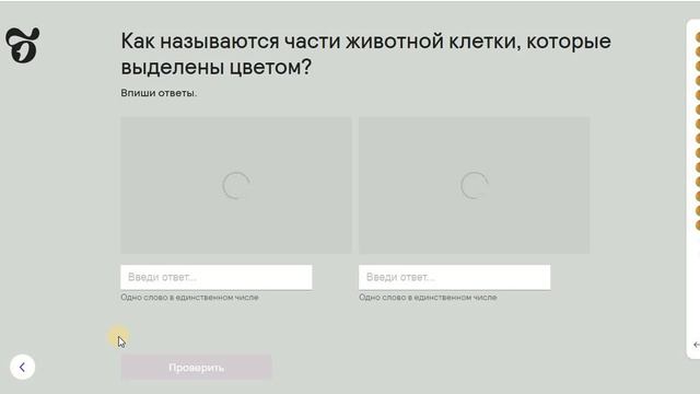 4 Животные и их клетки