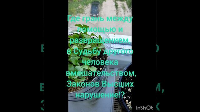 Какой помощь должна быть,что бы Душам не навредить!