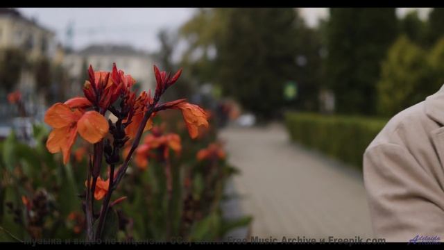 Самые завораживающие виды под хит года - I Hate It Here -- selfpity -- I Hate It Here
