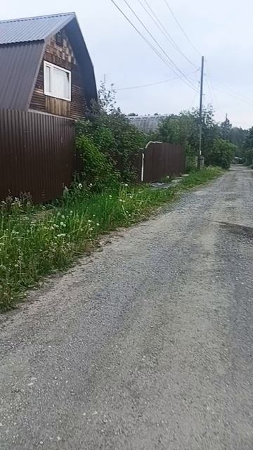 сады