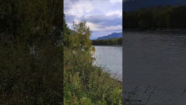 АНОС УЧАСТКИ НА БЕРЕГУ КАТУНИ ВИДЕО