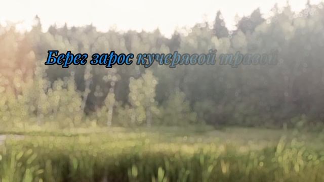 Лесной пруд