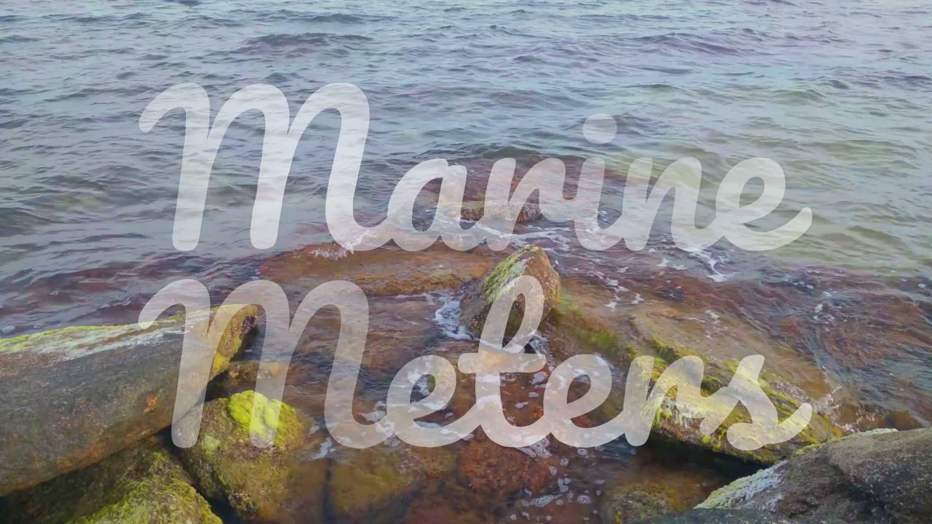 Marine Meters