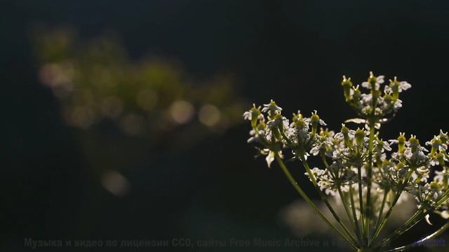 Путешествие начинается внутри себя при первых звуках - The Demise of All the Worlds Estate Agents Al