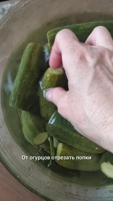 Малосольные огурцы