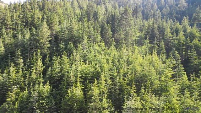 Дорога, скорость и музыка, от которой бегут мурашки! - Oregon -- Taylor Poe -- 10 Million Babies