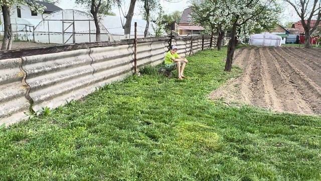 ГАЗОНОКОСИЛКА Oleo Mас K805 -196 СС ПЕРВЫЙ ПОКОС ☘️ТРАВЫ🌱С