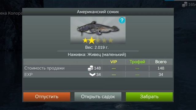 Как поймать американский сомик в игре My Fishing World